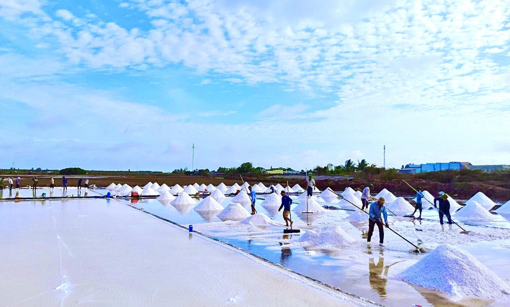 Muối Bạc Liêu